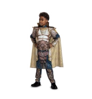Boys M 8  Xenk the Paladin Dlx Muscle Halloween Child Costume Dungeons...