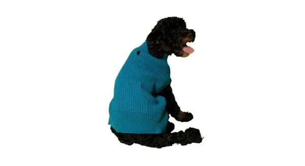 Vibrant Life Fall Blue Waffle with Pocket Dog Sweater Size Medium