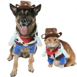 Vibrant Life VI Hw Costume Cowboy Xsmall