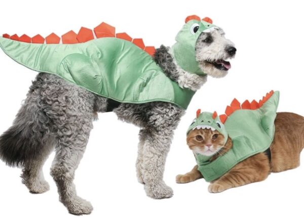 Vibrant Life Vl Hw Dinosaur Costume Small