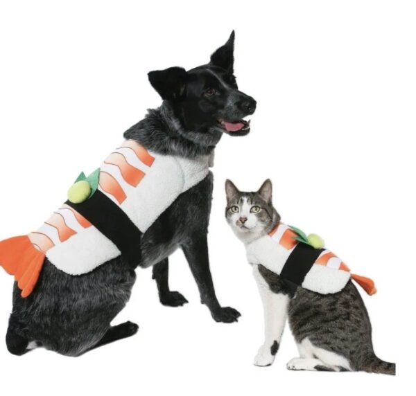 Vibrant Life Vl Hw Sushi Costume Xsmall