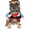 Vibrant Life Halloween Dog Costume and Cat Costume: Cowboy,Size small