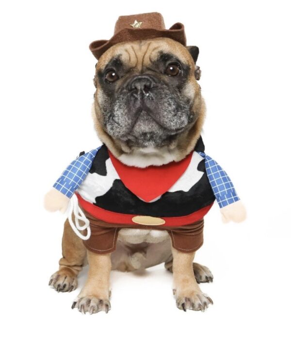Vibrant Life Halloween Dog Costume and Cat Costume: Cowboy,Size small